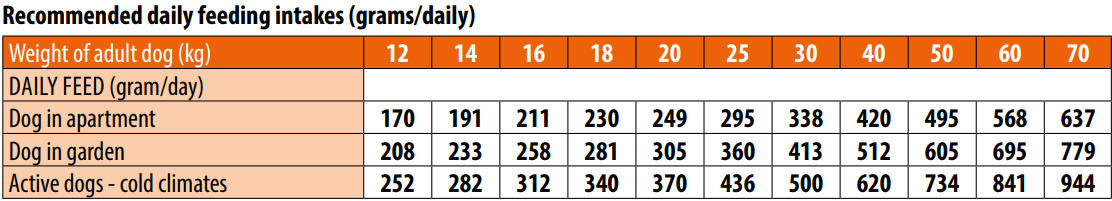 מונג' לבוגרים מכל הגזעים מבוסס ברווז