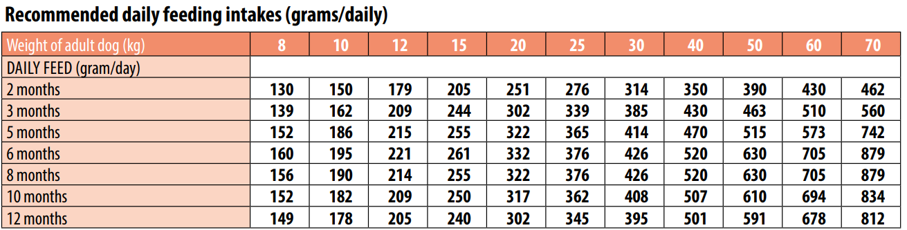 מונג' גורים לכל הגזעים מבוסס סלמון