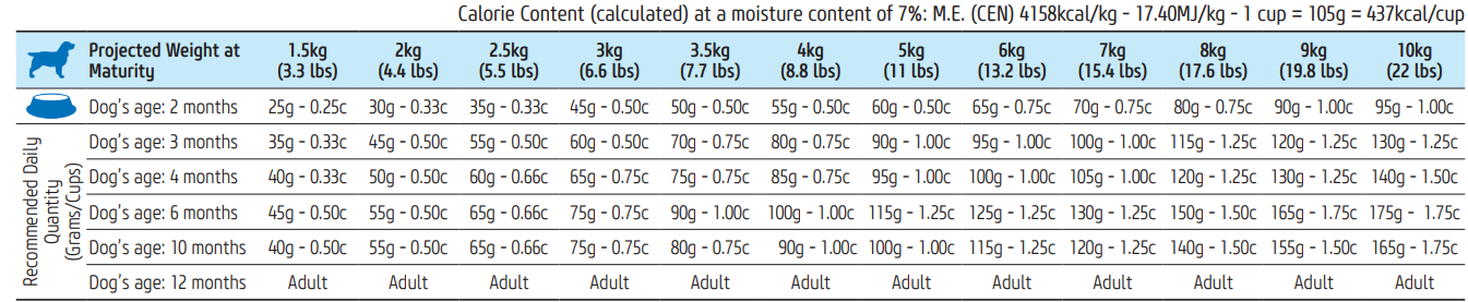 נטורל אנד דלישס לגורים מגזע קטן מבוסס כבש