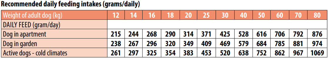 מונג' לבוגרים מכל הגזעים מבוסס סלמון