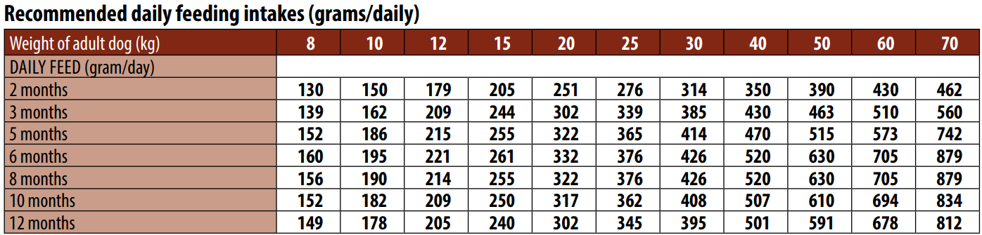 מונג' גורים לכל הגזעים מבוסס כבש