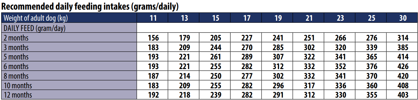 מונג' לגורים מגזע בינוני מבוסס עוף