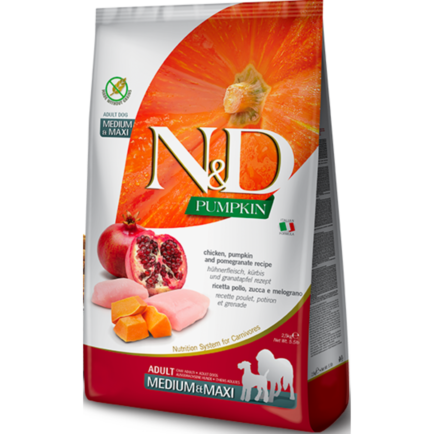 נטורל אנד דלישס מזון לבוגרים מגזע בינוני וגדול מבוסס עוף