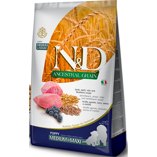 נטורל אנד דלישס מופחת דגנים לגורים מגזע בינוני וגדול מבוסס כבש