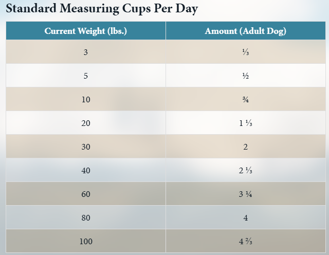 טייסט אוף דה ווילד לבוגרים מכל הגזעים מבוסס ביזון